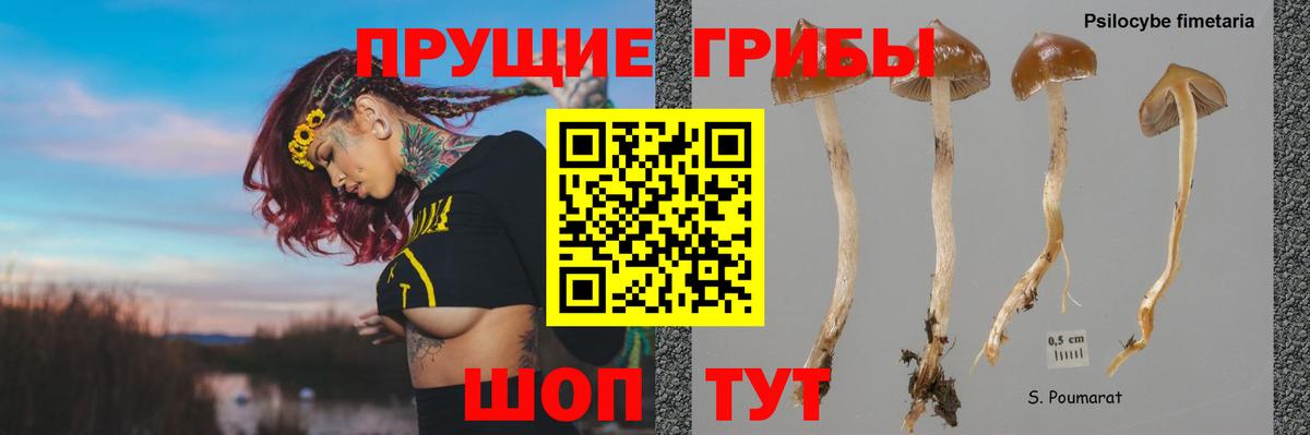 Стрежевой  Псилоцибиновые грибы ЛСД  Вход с VPN 